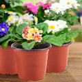 Miniatyrbild 4 av 4: 100 st Plastblomkrukor, 10 cm Plastblomkrukor med Etiketter Växter Plantskola Blomkruka