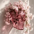 Gotisk Skalle Väggvas Hängande Planter Gotisk Heminredning Blomsterdisplay Prydnad Pink