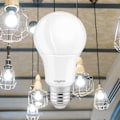 Miniatyrbillede 2 af 4: LED-pære A60 9W (Eq. 60W) E27 3000K