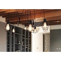 Miniatyrbillede 3 af 4: Pendentif lampe HWC-H85, hængende lampe i industriel metal, justerbar højde sort ~ 7 ved gradades-lamper