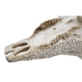 Pikkukuva 5 / 6: Vasikkaskull ja häränpää trofee mosaiikkipolyresiinistä 51x50x25cm 04_0002820 Flerfärgad