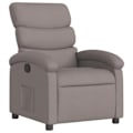 Miniatyrbillede 1 af 6: Fauteuil relax TV med komfortabel polstring, manuel vippefunktion i taupe stof DEC028181 Guld