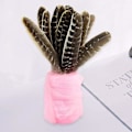 Miniatyrbillede 4 af 5: 21 stk. Naturlige kalkunfjer til gør-det-selv-håndværk, bryllupsfest og boligindretning