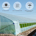 Miniatyrbilde 4 av 7: 2x10m Transparent Polyetylen Drivhusfilm, Ekstra Tykk Hageplast, Folietunnelbruk 10 m