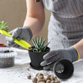 Miniatyrbilde 4 av 5: Pakke med 8 10cm blomsterpotter med hull, små kaktuspotter, runde plastpotter, blomsterpotte med skål for kontorbalkong, fargerik black