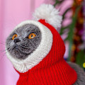 Miniatyrbillede 3 af 4: Grønt Hårmonster Juledekoration Julehandsker Cosplay Halloween Sjovt Karneval Party