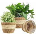 Miniatyrbillede 1 af 5: 3 stk. Søgræspotte, 3 størrelser Vævet Blomsterpotte Cover Opbevaringskurv Plantekrukke til Boligindretning (Beige)