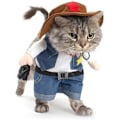 Miniatyrbillede 1 af 5: Julekostumer, Cowboy til den festlige julespecielle begivenhedskostume