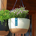 Miniatyrbilde 5 av 7: Automatisk vannabsorberende blomsterpotte, moderne hengende kurv med kontrastfarge, potter for hage og innendørs planter, balkongbrakett green