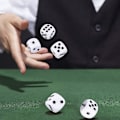 Pikkukuva 2 / 5: Nahkainen noppakuppisetti, keinonahkainen noppakuppi ravistin 10 pistenopalla pelien pelaamiseen juhlalelulahjoja (2 kpl){HH}