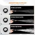 Miniatyrbilde 7 av 8: 2500W Bil Steamer for Bil Detailing Høytrykks Håndholdt Damprenser med Vanntank Bærbar Elektrisk Damprensemaskin H