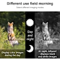 Miniatyrbild 3 av 5: Mörkerkikare, R7 Digital Mörkerseende Enhet 1080P Full HD Utomhus Infraröd Monokulär för Fågelskådning, Jakt, Camping, Resor