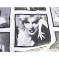 Miniatyrbillede 2 af 5: Bruseforhæng, Marilyn Monroe