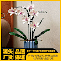 Pikkukuva 2 / 9: Rakennuspalikat Orkidea Phalaenopsis Kimppu Bonsai Tyttö Kokoa Koulutuslelu Lahja Phalaenopsis