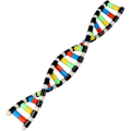 Miniatyrbillede 1 af 5: ibasenice Legetøj til Børn Børnelegetøj Børnelegetøj DNA Model Kit til Børn, DNA Model Dobbelt Helix Model DNA Dis