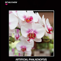 Pikkukuva 3 / 9: Rakennuspalikat Orkidea Phalaenopsis Kimppu Bonsai Tyttö Kokoa Koulutuslelu Lahja Phalaenopsis