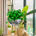 Miniatyrbild 5 av 7: Diskokule Planter Hängande Planteringskorg 15 CM