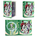 Miniatyrbilde 1 av 2: Fotballkortalbum - 240 stjerneskort boks samlealbum bokmappe Green