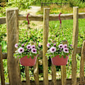Miniatyrbild 3 av 5: 10-pack hängande självbevattnande blomkruka i plast för utomhus- och inomhusväxter - röd_QU