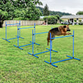 Miniatyrbillede 2 af 6: Rootz Dog Hurdle Set - Agility Hurdle Set - Dog Training Set - Dog Training Hurdles - Pet Agility Equipment - Dog Jumping Set - Hurdle Jumping Kit - B
