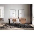Pikkukuva 2 / 9: Rootz ruokapöydän tuoli - Pehmustettu tuoli - Massiivipuujalat - Ergonominen selkänoja - Lattiasuojat - 39D x 43L x 83K cm