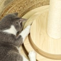 Miniatyrbillede 8 af 10: Rootz Cat-kradsestolpe indendørs - Kattetræ-legesæt - Sisal-skrabe - To-trins roterende spil - Robust MDF-konstruktion - 45 cm x 45 cm x 69 cm