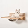 Miniatyrbillede 6 af 10: Rootz klatrevæg til katte - Katteklatrevæg med kradsestolpe - Kattetrappe - Kattemøbler Hængekøje - Sisal Akryl Fyr - Lysebrun - 100L x 25,5W x 17,5H
