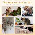 Miniatyrbillede 8 af 10: Rootz PawHut Cat Wheel - Cat træningshjul - Cat Running Wheel - Glat rotation - Låsbar bremse - Ridsepude - 91 cm x 33,5 cm x 94 cm - Eg