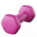 Miniatyrbild 1 av 4: Rootz hanteluppsättning - Neoprenbelagda vikter - Fitnessvikter - Slip -resistent - 13,5 x 6,5 cm