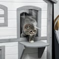 Miniatyrbild 5 av 6: Rootz Cat House - 2-vånings - Väderbeständig - Väderbeständig - Skjutfönster - Massiv träram - Vit + Grå - 123L x 63W x 112H cm