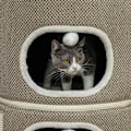 Miniatyrbild 9 av 11: Rootz 3 Tier Cat Barrel With Cushion - Cat House - Cat Tower - Förbättra komforten - Ø51cm x 69 cm, brunvit