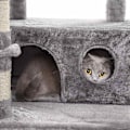 Miniatyrbillede 4 af 9: Rootz Cat Tree - Kradsestolpe - Hængekøje - Kattehule - 6 niveauer - Grå - Beige - 50 x 50 x 164 cm