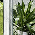 Miniatyrbillede 4 af 7: Rootz Folie Drivhus - Bærbart Plantehus - Tomathus - Pulverlakeret stål - UV-resistent PVC - 100 cm x 50 cm x 150/136 cm