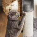 Miniatyrbild 4 av 8: Rootz Cat Scratching Post - Tall Scratcher - Cat Tree - Spånskivakonstruktion - 49cm x 45cm x 120cm