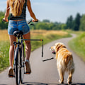 Miniatyrbillede 2 af 7: Rootz Bicycle Dog Leash - Elastic Rope - Tubular Steel - Shock -reducerende design - 124 cm Længde - Hold hunde sikkert på cykelture