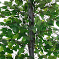 Pikkukuva 8 / 9: Rootzin keinokasvit - Vihreä - Pe, Pp, Sementti - 7,87 cm x 7,87 cm x 57,08 cm