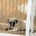 Miniatyrbillede 7 af 9: Rootz PawHut Folding Dog Barrier - Pet Gate - Justerbart Hundehegn - Holdbar MDF - 154cm x 30cm x 80cm - Hvid