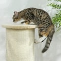Miniatyrbild 4 av 7: Rootz Scratching Barrel - Corner Scratcher - Corner Design - Space Saving - Creme White - 35cm x 35cm x 85cm