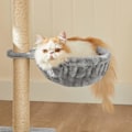 Miniatyrbild 7 av 7: Rootz skrapstolpe för katter - Kattskrapstolpe - med gosig grotta - Grå - 46 x 41 x 84 cm