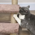 Pikkukuva 8 / 10: Rootz Pet -portaikko - Kissan kiipeilyportaat - Kitty Play Tower - Auttaa saavuttamaan korkeita alueita - Kompakti ja kannettava - Tukeva muotoilu - 4