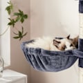 Miniatyrbild 5 av 7: Rootz Cat Scratching Post Tree - Kattmöbler - Högt Scratching Tower - Lekplats i flera plan - Sisalstolpar - 60cm x 50cm x 206cm