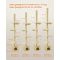 Miniatyrbillede 6 af 6: Rootz Cat Tree Ceiling High - Ridsestolpe - Kradser - Højdejustering - Beige - MDF, krydsfiner, plys, sisal - 45 cm x 30 cm x (231-291 cm)