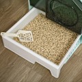 Miniatyrbild 4 av 7: Rootz Cat kattlåda - Hut Design - 1 sil - 1 ströskopa - Avtagbar bottenlåda - Plast - ABS - Grön - Vit - 47L x 45W x 42H cm