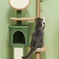 Miniatyrbild 4 av 6: Rootz Cat Tree med konstgjorda löv - Skrapstolpe - Lekcenter - Plysch & Jute Comfort - 48L x 44W x 139H cm
