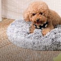 Miniatyrbillede 4 af 7: Rootz Donut Hundeseng - Pet Sofa - Memory Foam Seng - Plysmateriale - Komfortabel og holdbar - 60 cm x 20 cm - Grå