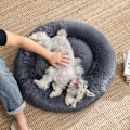 Miniatyrbillede 6 af 7: Rootz Hundeseng - Blødt polstret Hundeseng - Sovesofa Hundeseng - Hunderundseng - Kæledyrsseng - Katteseng - Transportabel Hundeseng - Kæledyrssovesen