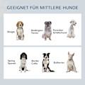 Miniatyrbillede 8 af 11: Rootz Elevated Dog Feeding Station - Pet Feeder - Dog Bowl Stand - Fremme sund spisning - 50 cm x 24 cm x 22 cm - Opbevaring og langsom feedermåtte, h