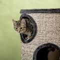 Miniatyrbillede 5 af 8: Rootz Scratch Barrel - Scratch Barrel - 3 Tier Scratcher Barrel - Inkluderer Sisal Rope - Scratcher Pad - Cat Scratcher - Grå - 38cm x 38cm x 70cm