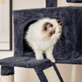 Miniatyrbild 4 av 7: Rootz Cat Scratching Post Tree - Kattmöbler - Högt Scratching Tower - Lekplats i flera plan - Sisalstolpar - 60cm x 50cm x 206cm