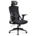 Miniatyrbillede 1 af 7: Rootz Modern Drejestol - Kontorstol - Ergonomisk stol - Meshbetræk - 113cm x 65cm x 65cm - Sort - Sølvdekorationer - Gyngemekanisme - Justerbar sædehø